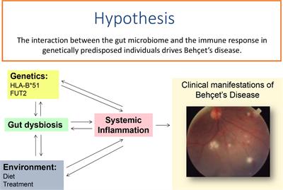 Behçet’s Disease—Do Microbiomes and Genetics Collaborate in Pathogenesis?